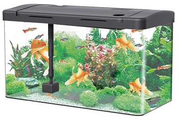 Fish Tank Acrylic Aquarium 25L (45 x 22 x 24 Cm) Fish Breeding Box, Fish Bowl With Fish Tank Filter and Oxygen Supply, LED Lights, Goldfish Turtle Shrimp Tank for Home Office Living Room