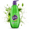 Green Tea Shower Gel Body Wash – 500ml | With Skin-Purifying Green Tea & Detoxifying Coriander | 100% Vegan, Soap-Free & Paraben-Free | For All Skin Types