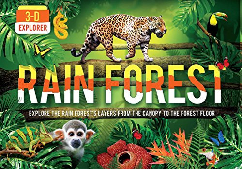 Rain Forest: Explore the Rain Forest's Layers from the Canopy to the Forest Floor