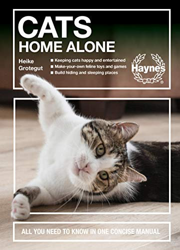 Cats Home Alone: How to Keep Your Home-Alone Cat Happy: All You Need to Know in One Concise Manual (Concise Manuals)