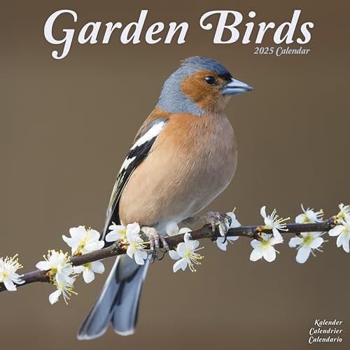 Garden Birds 2025 Square Wall Calendar | Bird, Wildlife, Calendar