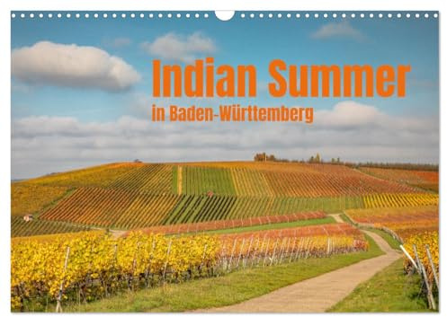 Indian Summer in Baden-Württemberg (Wandkalender 2026 DIN A3 quer), CALVENDO Monatskalender: Herbstlich gefärbte Weinberge im Schwäbischen (CALVENDO Natur)