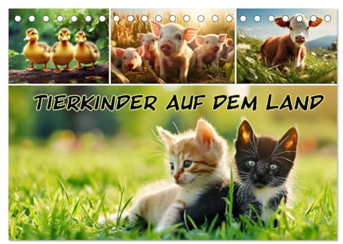 Tierkinder auf dem Land (Tischkalender 2026 DIN A5 quer), CALVENDO Monatskalender: Niedliche Tierkinder, ländlicher Charme: Ihr Begleiter durch das Jahr! (CALVENDO Tiere)