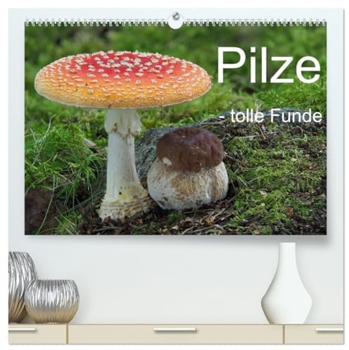 Pilze - tolle Funde (hochwertiger Premium Wandkalender 2026 DIN A2 quer), Kunstdruck in Hochglanz: Ein Kaleidoskop außergewöhnlicher Pilzfunde. (CALVENDO Natur)