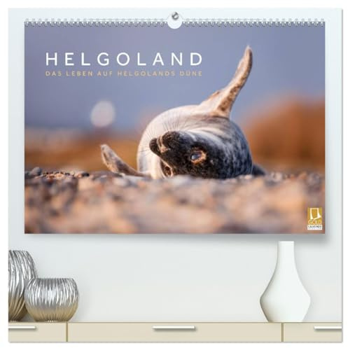 Helgoland - Das Leben auf der Düne Helgolands (hochwertiger Premium Wandkalender 2026 DIN A2 quer), Kunstdruck in Hochglanz: Die Tier- und Naturwelt ... in wunderschönen Aufnahmen. (CALVENDO Natur)