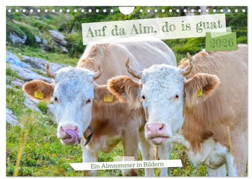 Bergstille – Momente auf der Alm (Wandkalender 2026 DIN A4 quer), CALVENDO Monatskalender: Der Alpsommer ist eine besondere Zeit im Jahreslauf - ein ... hoch oben in den Bergen. (CALVENDO Natur)