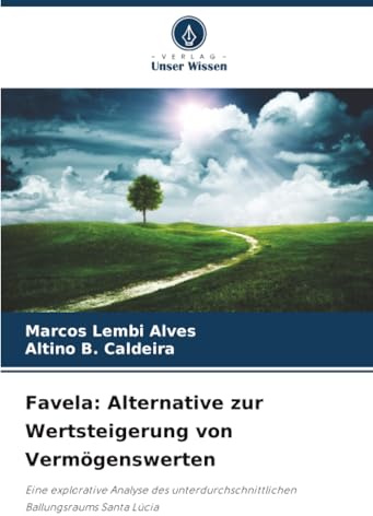 Favela: Alternative zur Wertsteigerung von Vermögenswerten: Eine explorative Analyse des unterdurchschnittlichen Ballungsraums Santa Lúcia