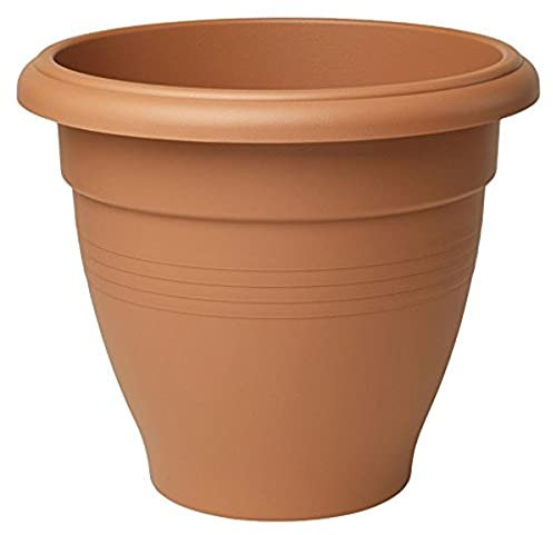 Stewart 2012034 30 cm Palladian Planter - Orange/Terracotta