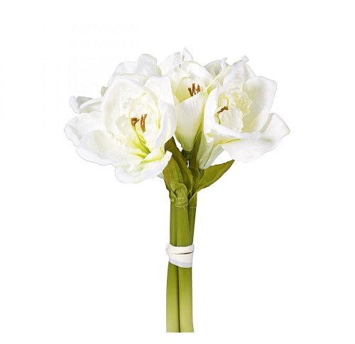 Amaryllis-Bund 3Stiele 32cm cr