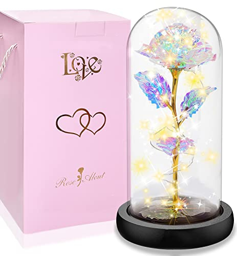 Rose im Glas, Ewige Rose im Glas mit LED-Licht,Die Schöne und das Biest, Künstliche Blumenrose Romantische Geschenke für Mama, Oma, Frauen, Freundin, Valentinstag, Geburtstag(Warmes Licht)