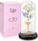 Rose im Glas, Ewige Rose im Glas mit LED-Licht,Die Schöne und das Biest, Künstliche Blumenrose Romantische Geschenke für Mama, Oma, Frauen, Freundin, Valentinstag, Geburtstag(Warmes Licht)