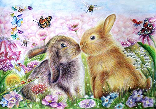 Meecaa Malen nach Zahlen Hase Schmetterling Blume Tier Ehepartner Kit für Erwachsene Anfänger DIY Ölgemälde 16x20 Zoll (Rahmenlos, Hase)