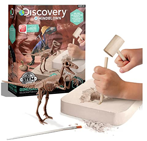 Discovery #Mindblown 1423004881 - Dinosaur Fossil Dig Velociraptor - Ausgrabungsset Dinosaurier - für Kinder ab 6 Jahren