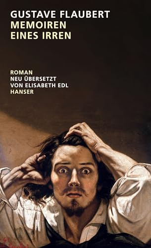 Memoiren eines Irren: Roman