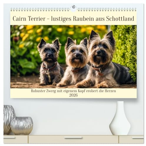 Cairn Terrier - lustiges Raubein aus Schottland (hochwertiger Premium Wandkalender 2026 DIN A2 quer), Kunstdruck in Hochglanz: Robuster Zwerg mit eigenem Kopf erobert die Herzen (CALVENDO Tiere)