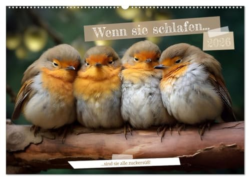 Wenn sie schlafen... (Wandkalender 2026 DIN A2 quer), CALVENDO Monatskalender: Schlafende Tiere soll man nicht wecken (CALVENDO Tiere)
