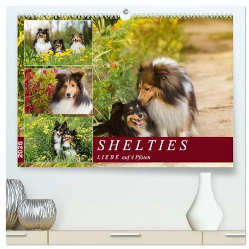 SHELTIES Liebe auf 4 Pfoten (hochwertiger Premium Wandkalender 2026 DIN A2 quer), Kunstdruck in Hochglanz: Mit herrlichen Shetland Sheepdog Naturaufnahmen durch alle Jahreszeiten. (CALVENDO Tiere)