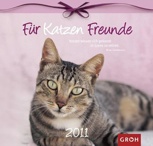 Für Katzenfreunde 2011 (Zeit für Freunde)