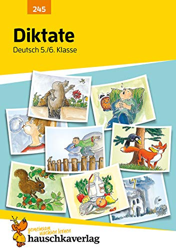 Diktate 5./6. Klasse, A5-Heft: Deutsch: Übungen mit Lösungen für Gymnasium und Realschule - Richtig schreiben, Rechtschreibung üben, Sekundarstufe I