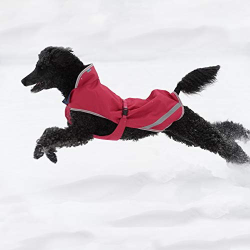 Bucas Freedom Dog Rug 50g - Persian Red - Hundedecke