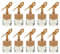 10Pcs Refillable Car Essential Oil Diffuser Air Freshener Hanging Bottles Empty Glass Bottles for Car Fragrance and Home Scented Oil Diffusers