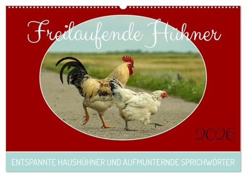 Freilaufende Hühner (Wandkalender 2026 DIN A2 quer), CALVENDO Monatskalender: Unterschiedliche Hühner-Rassen in freier, ländlicher Idylle. (CALVENDO Tiere)