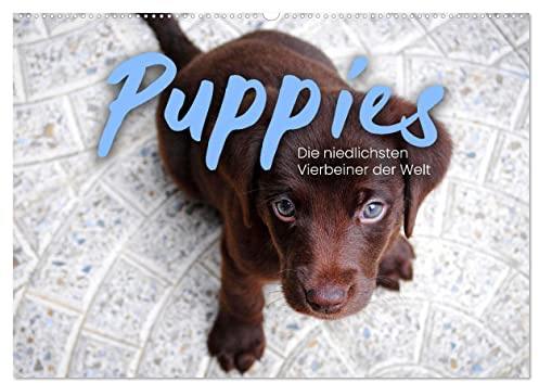 Puppies - Die niedlichsten Vierbeiner der Welt. (Wandkalender 2026 DIN A2 quer), CALVENDO Monatskalender: Zum Vernaschen. (CALVENDO Tiere)