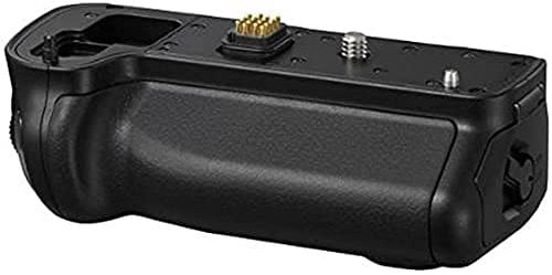 Panasonic-Batteria compatibile con DMW-BLF19E e GH3