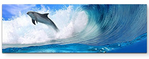 Paul Sinus Art Leinwandbilder | Bilder Leinwand 120x40cm spielende Delfine im Meer