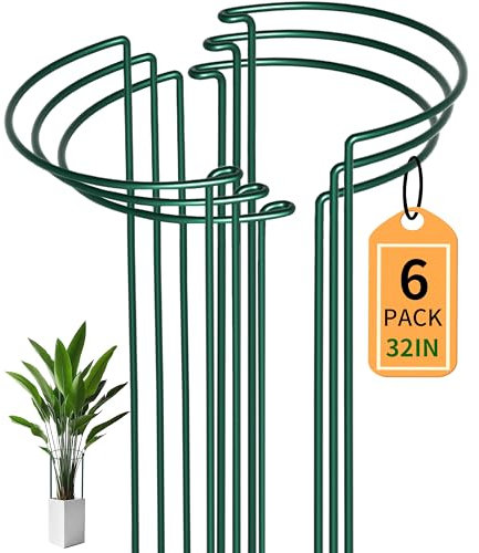 SYITCUN 6 Stück Pflanzenstützen – 80cm Hoch,35cm Halbrund Robuste 5mm Draht Staudenhalter für Pfingstrosen,Rosen & Kletterpflanzen