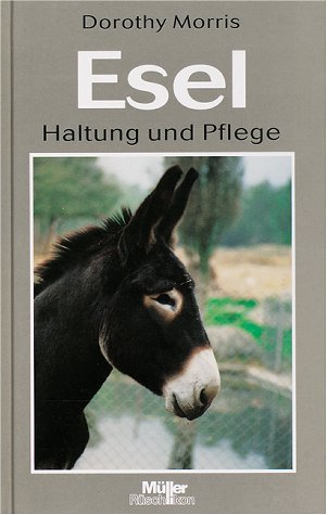 Esel. Haltung und Pflege.