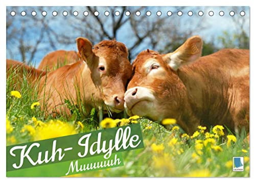 Kuh-Idylle: Muuuuuh (Tischkalender 2023 DIN A5 quer): Kühe: Eine heile Welt auf den Wiesen von Allgäu, Frankreich, Südtirol, oder England (Monatskalender, 14 Seiten ) (CALVENDO Tiere)