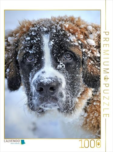 CALVENDO Puzzle Bernhardiner | 1000 Teile Lege-Größe 48 x 64 cm Foto-Puzzle für glückliche Stunden