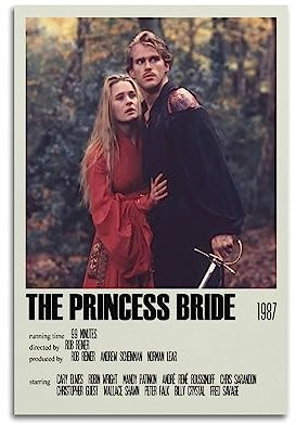 daweitianlong Filmposter The PrincessBride, dekoratives Gemälde, Leinwand, Wandkunst, Wohnzimmer, Poster, Schlafzimmer, Gemälde, ungerahmt, 40 x 60 cm