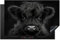 KitchenYeah© Herdabdeckplatte 80x52 cm Einteilig Induktionsmatte Küche Abdeckung Ceranfeld Herd Abdeckplatte Deko Vinyl Matte Aufrollbar Schottisches Hochlandrind - Schwarz - Kalb - Kuh