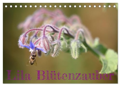 Lila Blütenzauber (Tischkalender 2026 DIN A5 quer), CALVENDO Monatskalender: Perfekt für Naturliebhaber, bringt dieses Kunstwerk die Magie von Blüten ... für inspirierende Momente. (CALVENDO Natur)