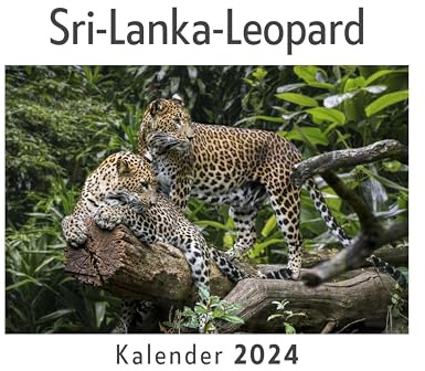 Sri-Lanka-Leopard (Wandkalender 2024, Kalender DIN A4 quer, Monatskalender im Querformat mit Kalendarium, Das perfekte Geschenk)