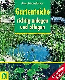 Gartenteiche richtig anlegen und pflegen