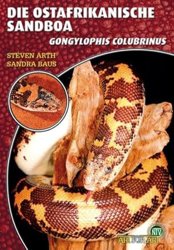 Die Ostafrikanische Sandboa: Gongylophis colubrinus (Buchreihe Art für Art Terraristik)