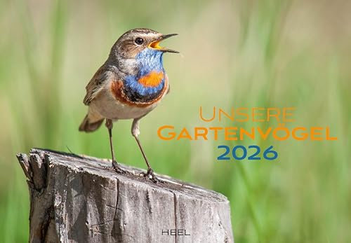 Unsere Gartenvögel Kalender 2026: Farbenprächtige Bilder unserer heimischen Vogelvielfalt. Wandkalender Vögel