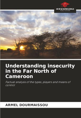 Understanding insecurity in the Far North of Cameroon: Factual analysis of the types, players and means of control