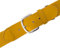Champion Sports Ubgd Einheitlicher Gürtel, grün, Adult (22-46 Inches)