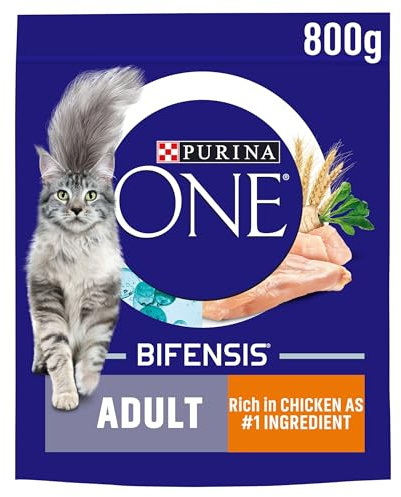 Purina One Adult Complete Dry Cat Food with Rich in Salmon and Wholegrains, 800G