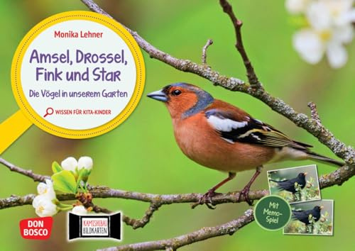 Amsel, Drossel, Fink und Star. Die Vögel in unserem Garten. Kamishibai Bildkarten und Memo-Spiel: Erzähltheater für Kita-Kinder mit Sachwissen zu ... für unser Erzähltheater Kamishibai)