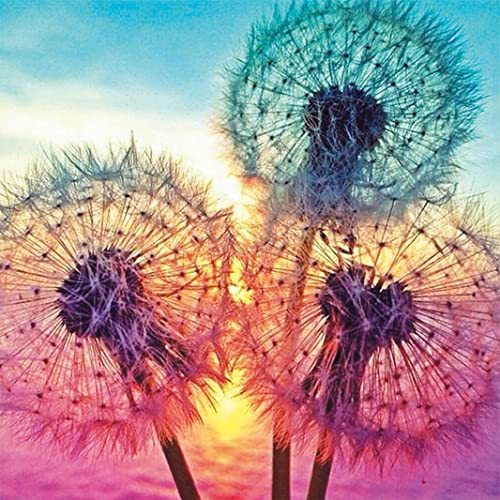 OWN4B Kreuzstich Stickpackungen Vorgedruckt, Sonnenuntergang und bunter Löwenzahn Bilder 11CT 14,2x14,2 Zoll DIY Stickpackung Set