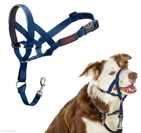 Halti Kopfgeschirr für Hunde | Größe 2, Kobaltblau | Verhindert, dass Ihr Hund an der Leine zieht, Leicht, mit gepolstertem Nasenriemen, Anti-Zug-Halsband für mittelgroße Hunde
