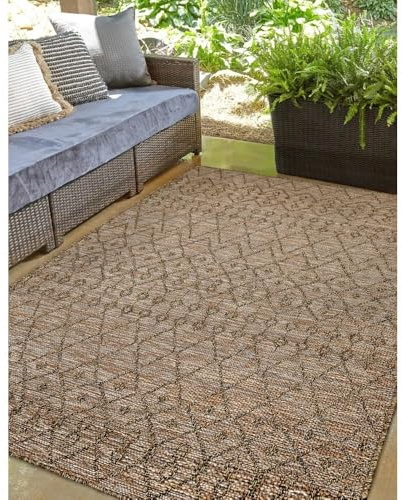 Modern Style Rugs Flatweave Culture Natural Patterned Design Very Hardwearing - Indoor or Outdoor Area Rug Patio/Living Room/Dining Room Use - 120x170cm