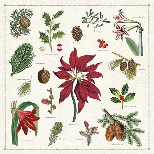 Cavallini Papers & Co. Servietten mit Weihnachtsmotiv, 4 Stück