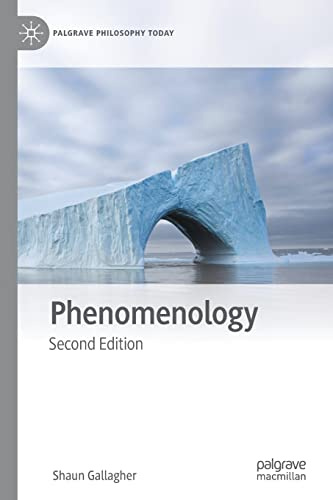 Phenomenology (Palgrave Philosophy Today)