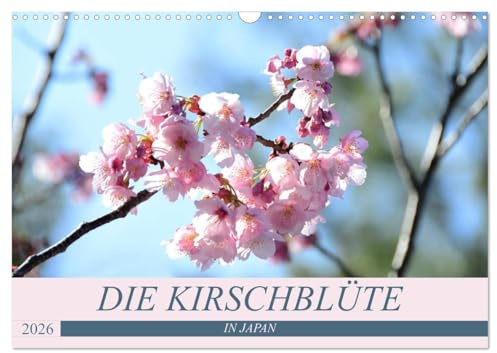 Die Kirschblüte in Japan (Wandkalender 2026 DIN A3 quer), CALVENDO Monatskalender